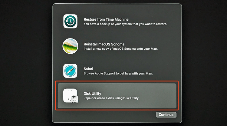 select Disk Utility in Recovery Mode