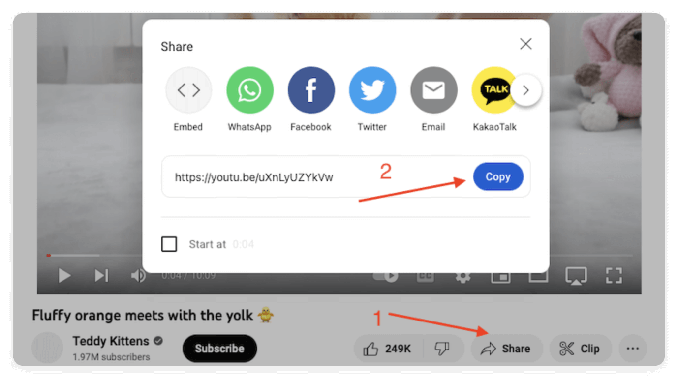 Copy the YouTube music URL