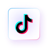 TikTok Video Downloader