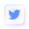 Twitter Video Downloader