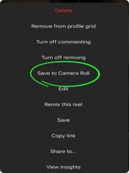 Instagram Reels downloader