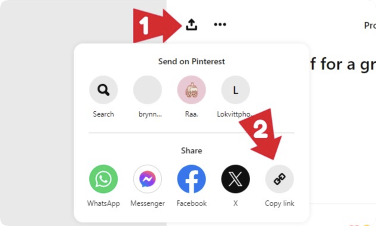 Copy URL of Pinterest video